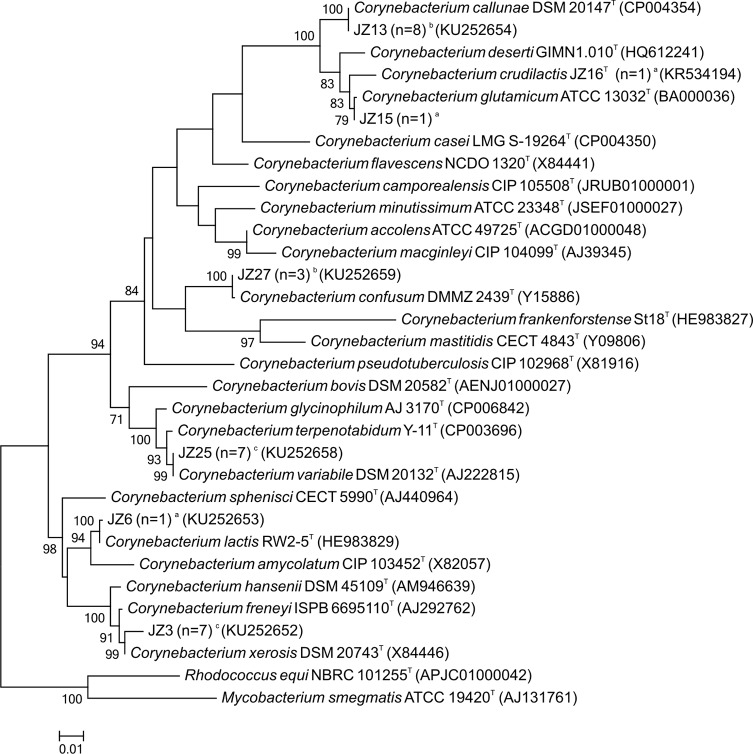 Fig 1