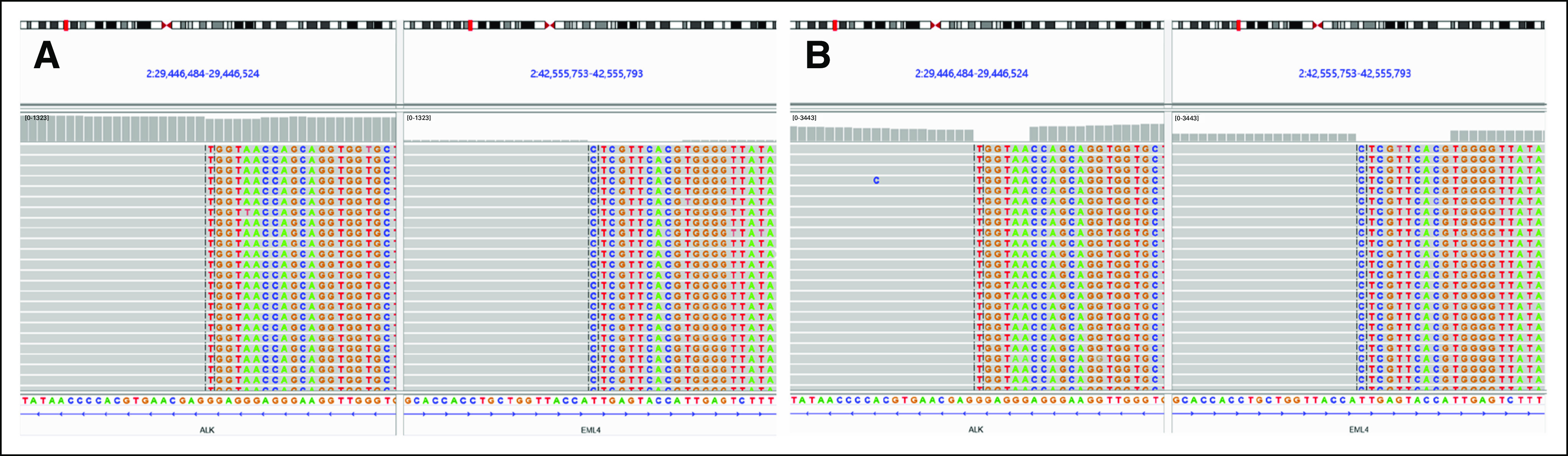 FIG 3.