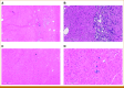 FIG 2.