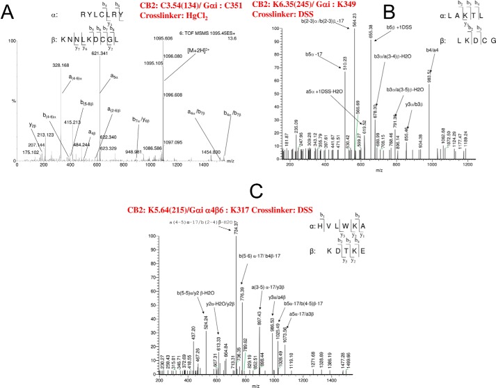 FIGURE 1.