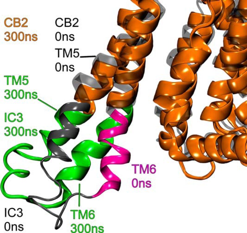 FIGURE 11.