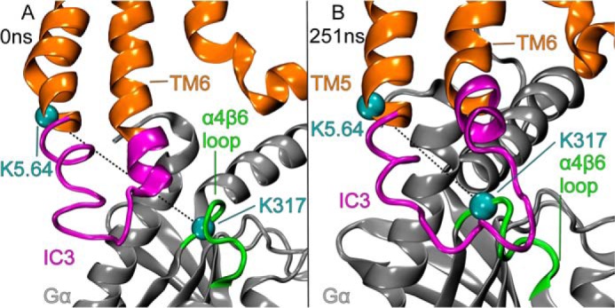 FIGURE 12.