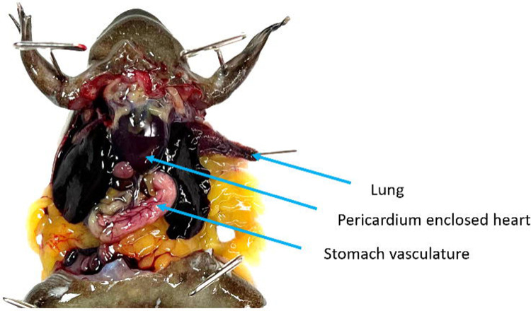 Figure 4.