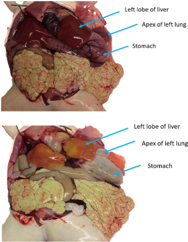 Figure 11.