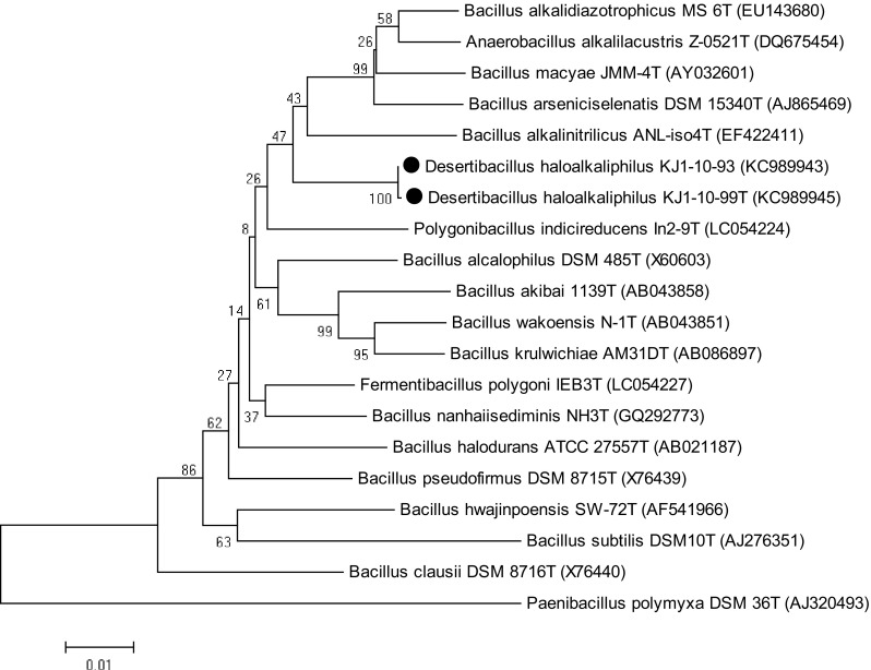 Fig. 3