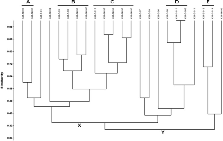 Fig. 2