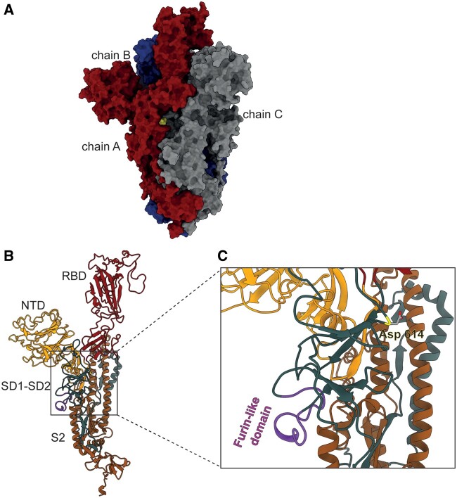 Fig. 1.