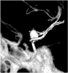Fig. (4)