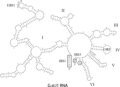 FIG. 2.