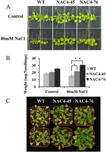 Fig. 9