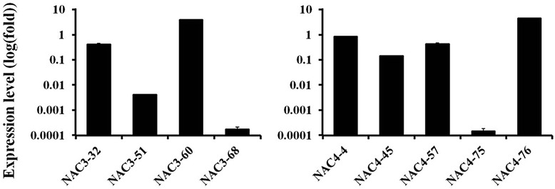 Fig. 6