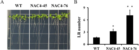 Fig. 10