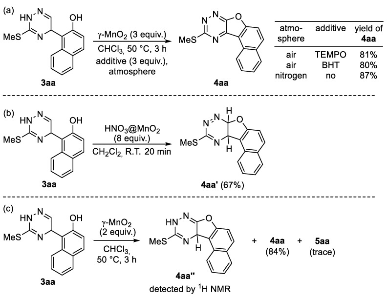 Scheme 8