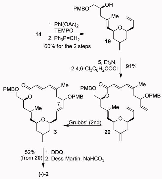 Scheme 3