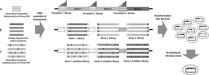 Figure 3.