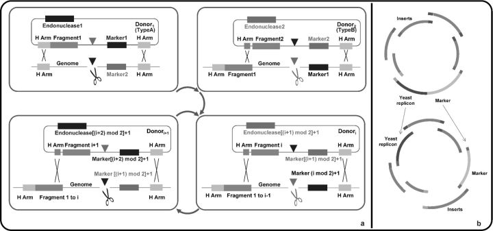 Figure 2.