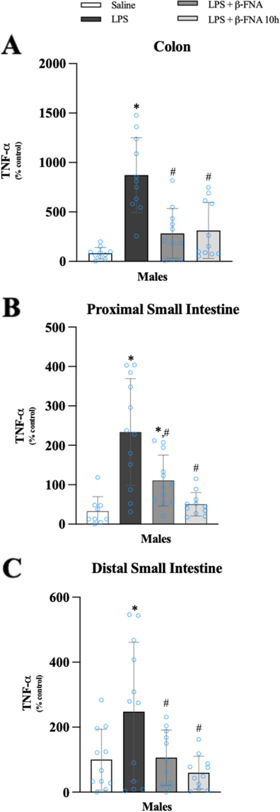 Fig. 13