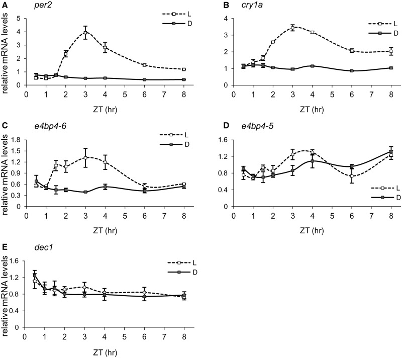 Figure 5.