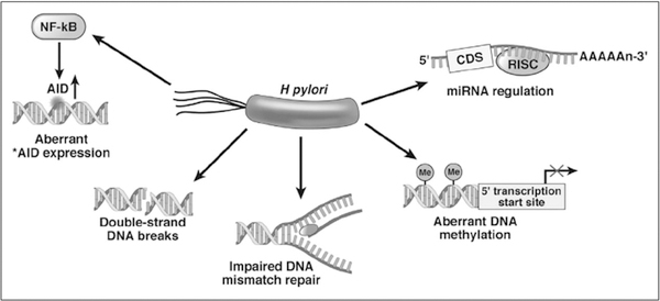 FIGURE 1.