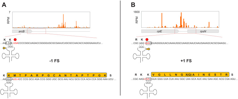 Figure 4—figure supplement 5.