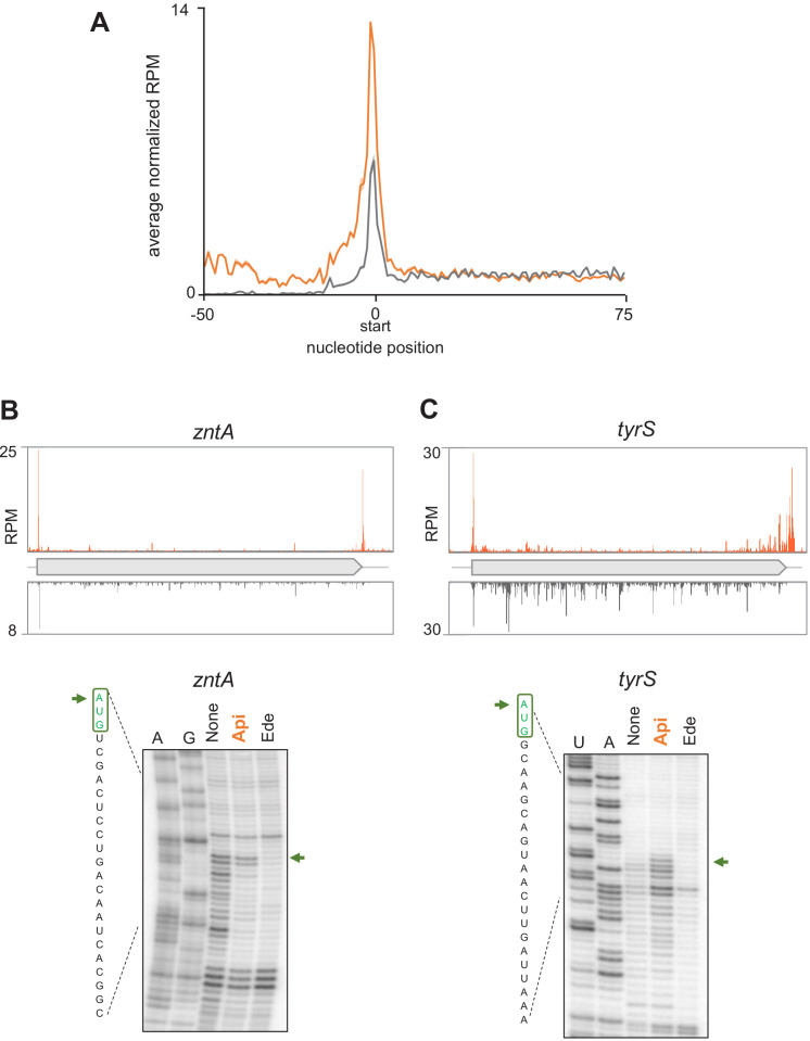 Figure 2—figure supplement 3.