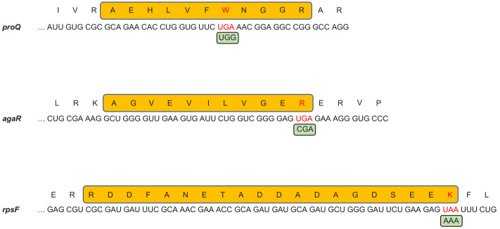 Figure 4—figure supplement 4.