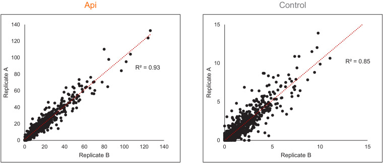 Figure 3—figure supplement 1.