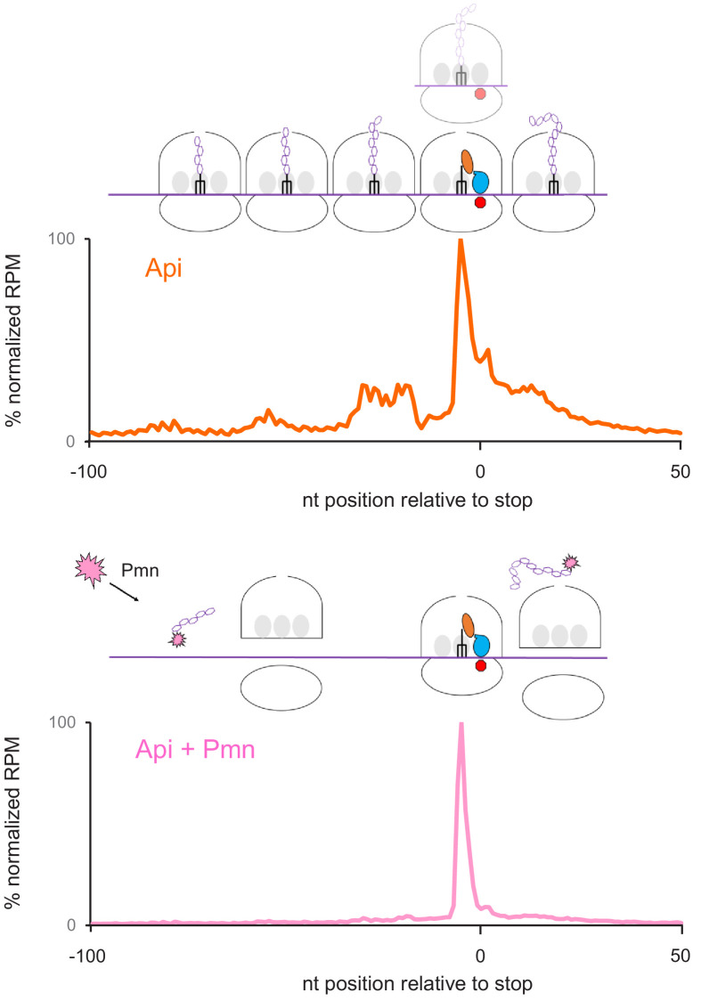 Figure 2—figure supplement 2.