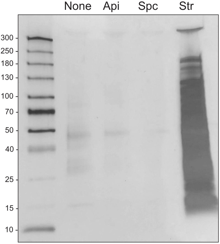 Figure 4—figure supplement 6.