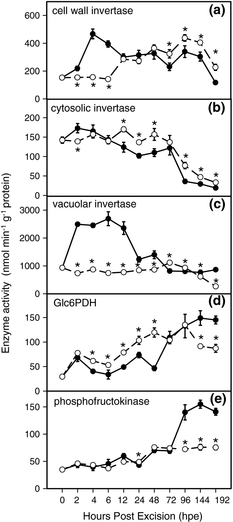 Fig. 6