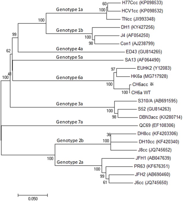 FIGURE 1