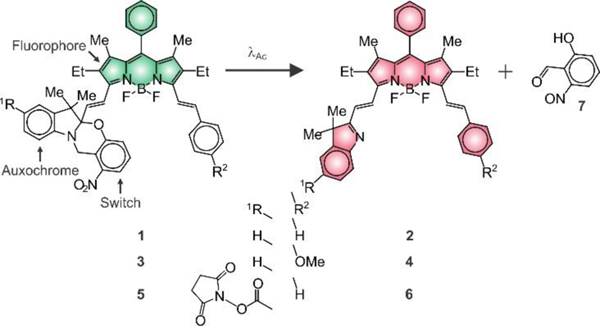 Figure 1.