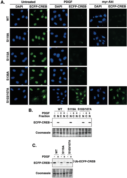 FIG. 9.