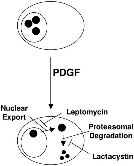 FIG. 11.