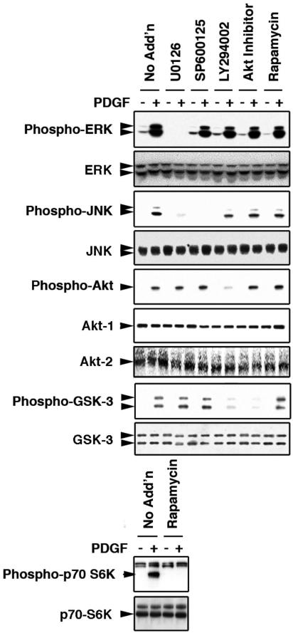 FIG. 5.