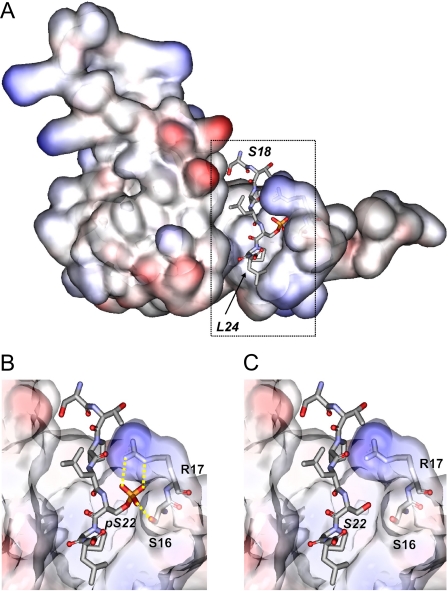 FIGURE 5.