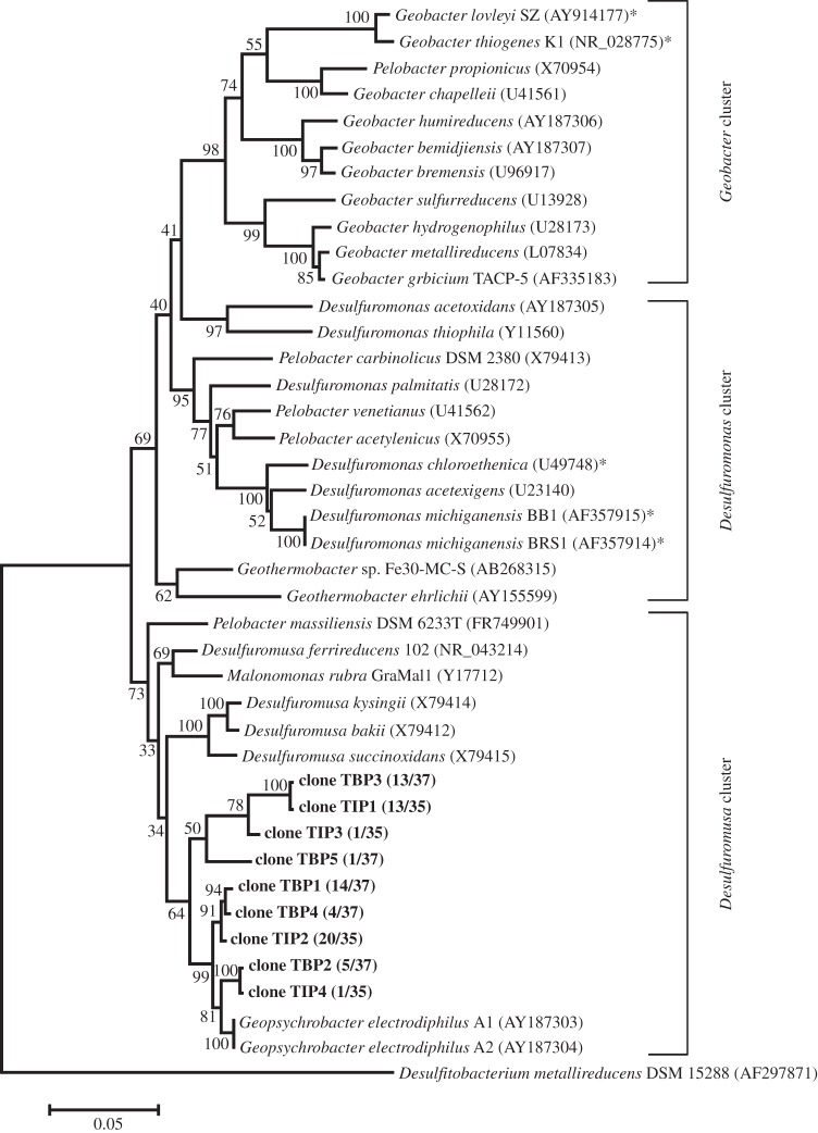 Figure 5.