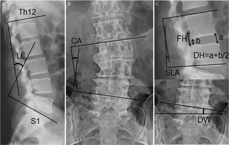 Fig. 1