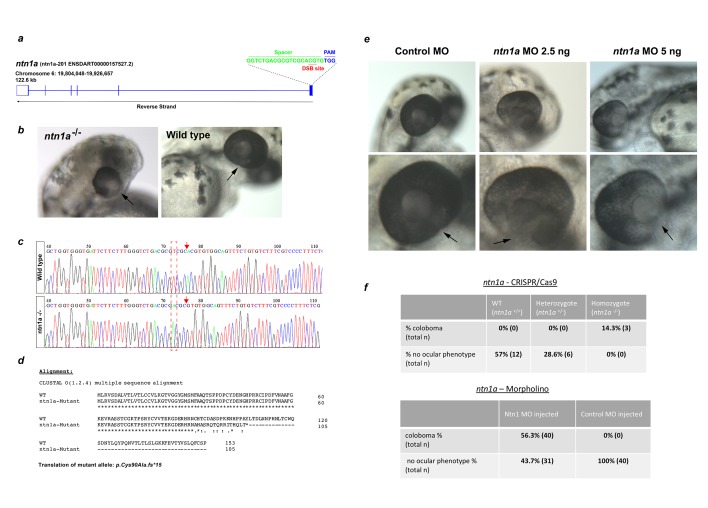 Figure 4—figure supplement 3.