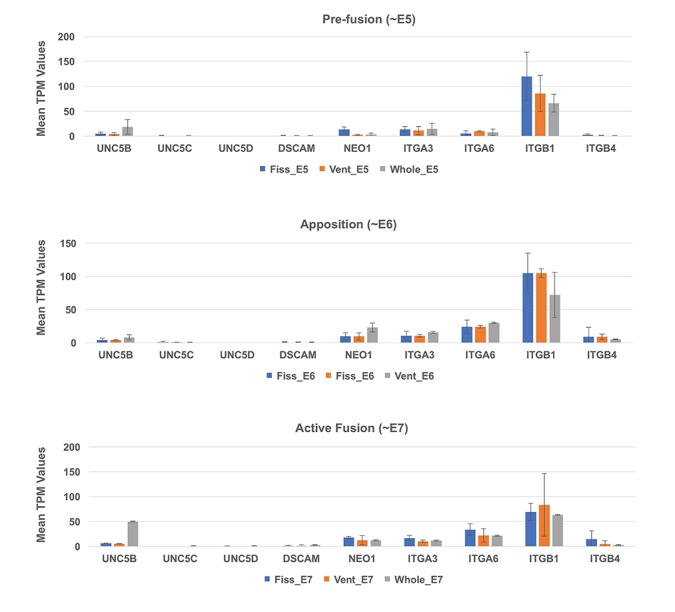 Figure 4—figure supplement 4.