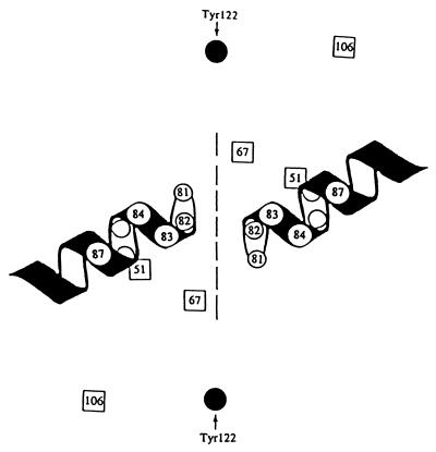 FIG. 7