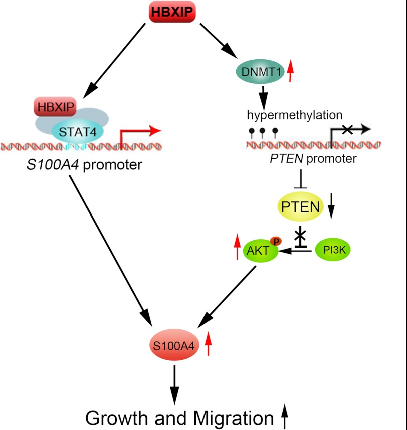 FIGURE 7.