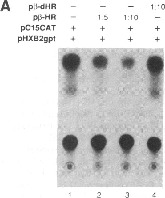 graphic file with name pnas01096-0253-a.jpg