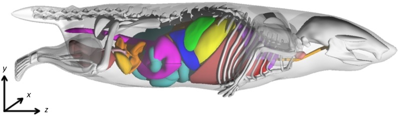 Figure 2.