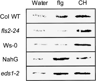 Figure 6.