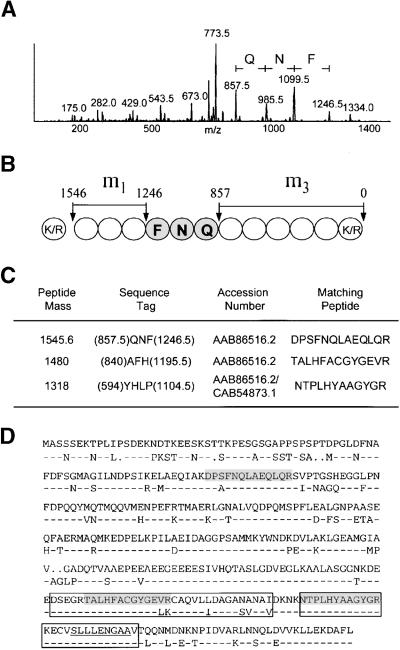 Figure 2.