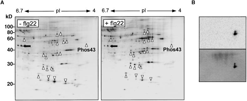 Figure 5.