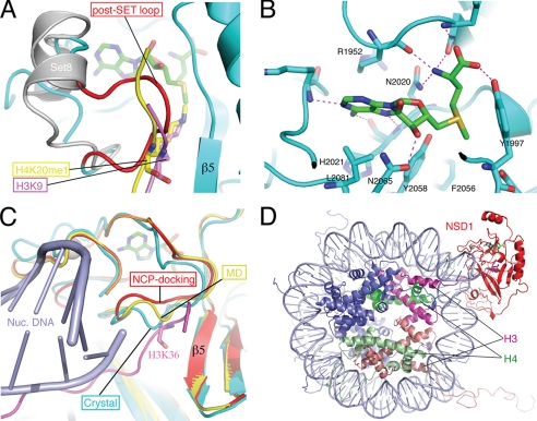 FIGURE 4.