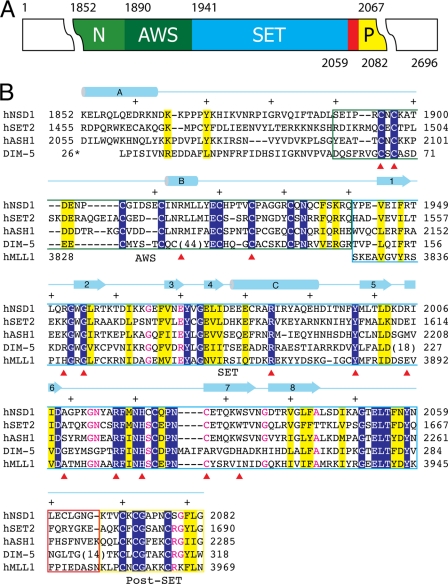 FIGURE 1.