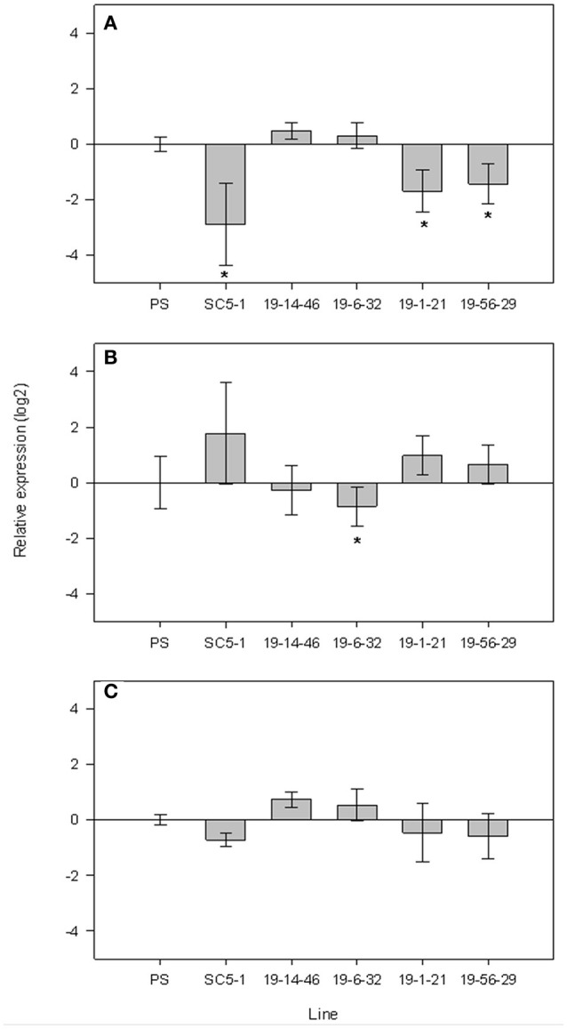 Figure 5